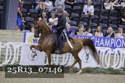25R13_07146 thumbnail