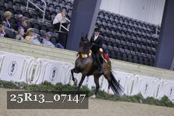 25R13_07147 thumbnail
