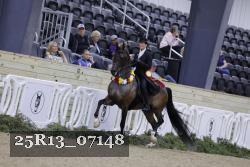 25R13_07148 thumbnail