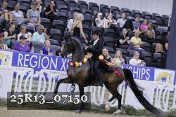 25R13_07150 thumbnail