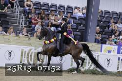 25R13_07152 thumbnail