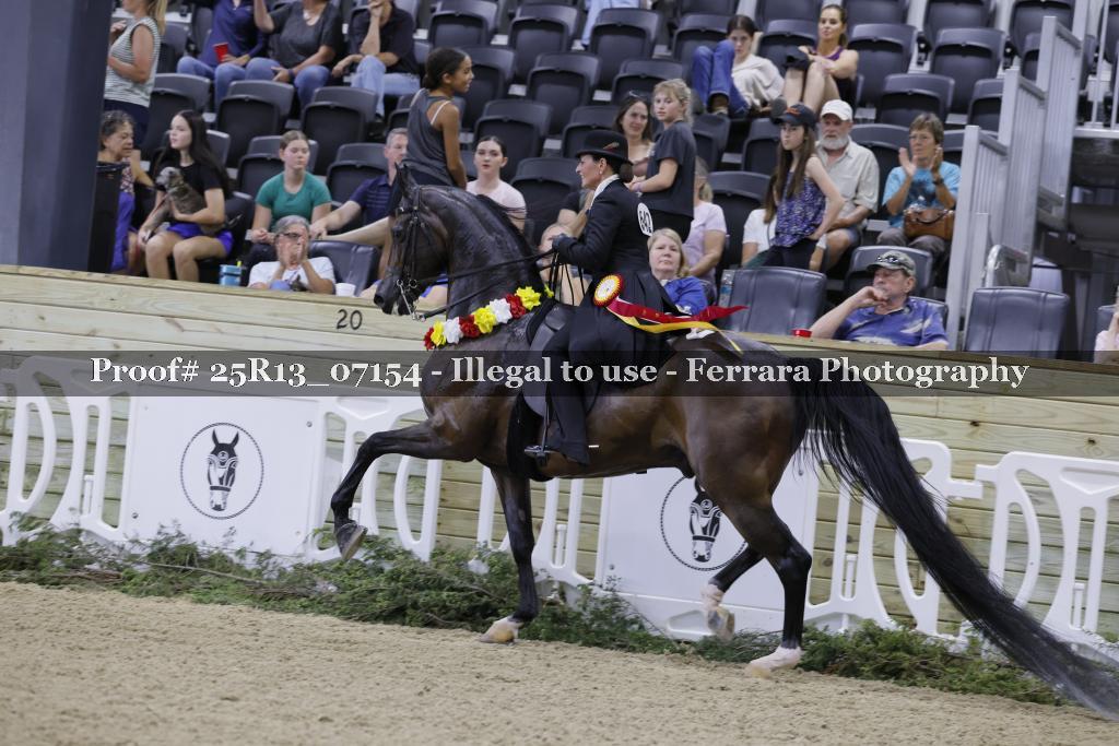 Proof Number 25R13_07154