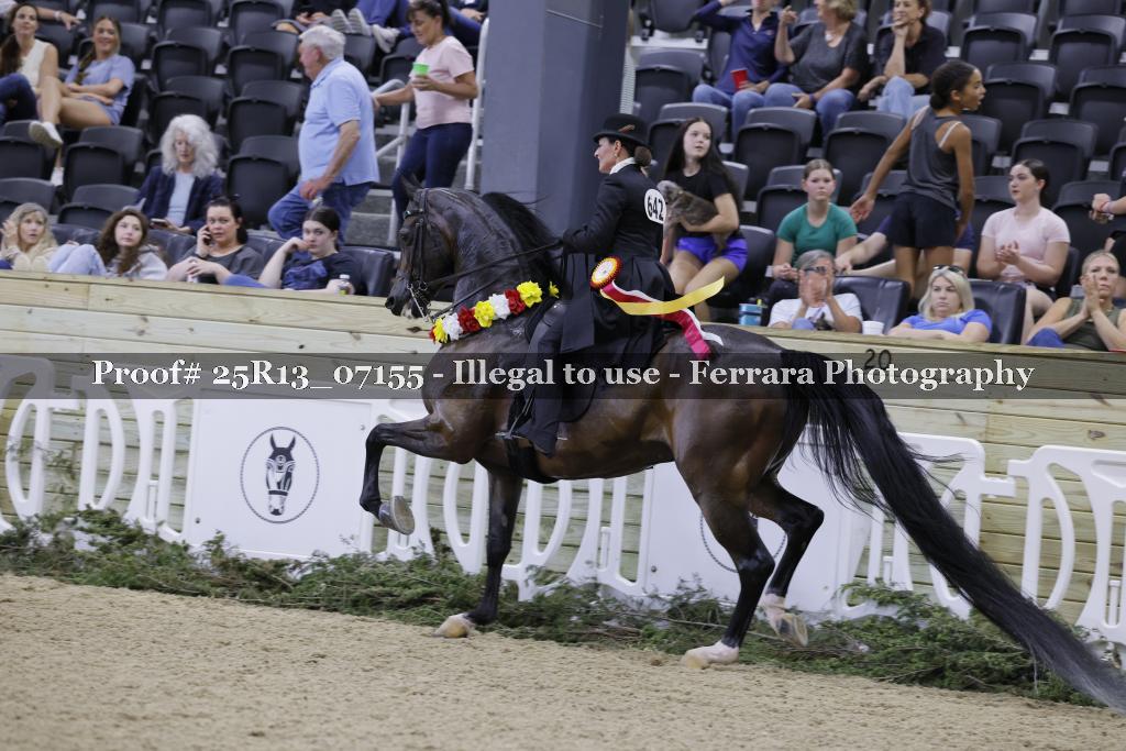 Proof Number 25R13_07155