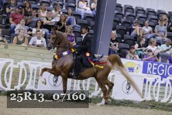 25R13_07160 thumbnail