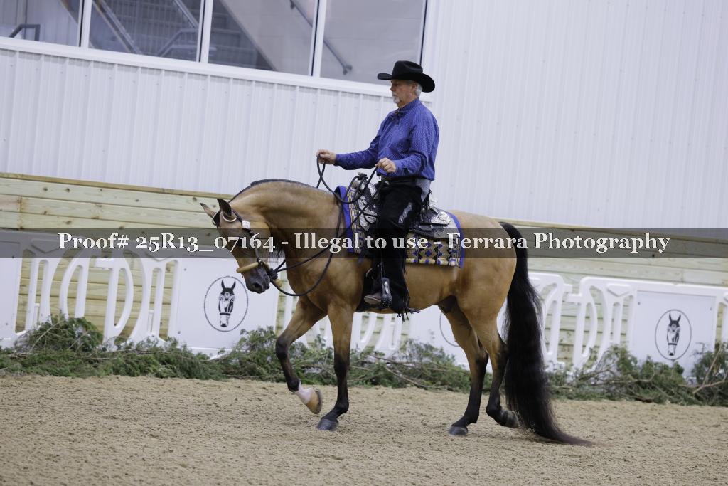Proof Number 25R13_07164