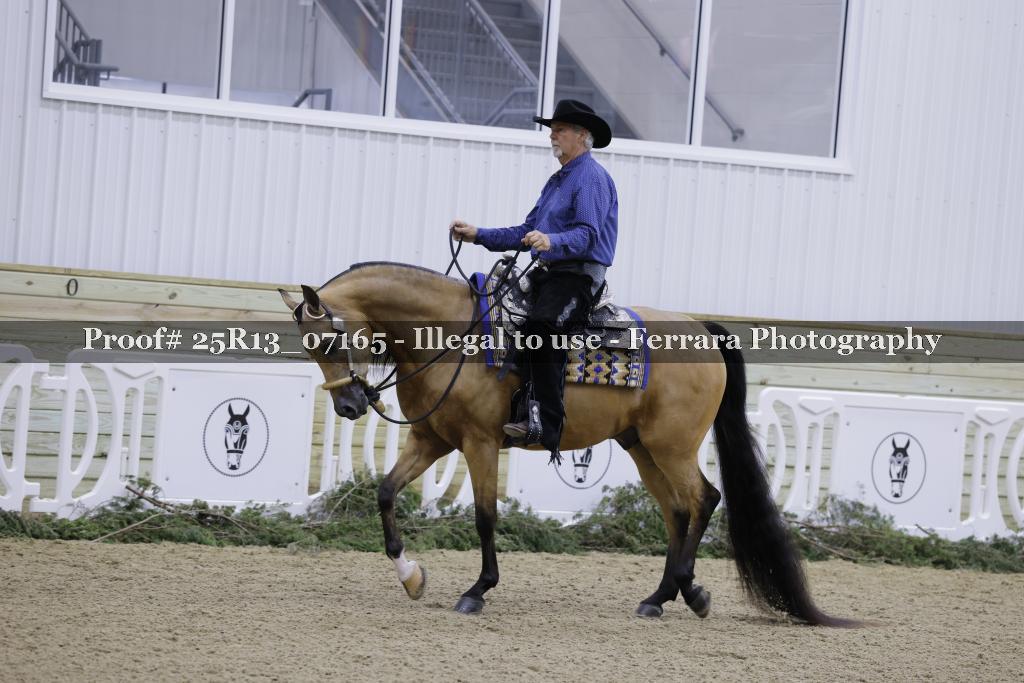 Proof Number 25R13_07165