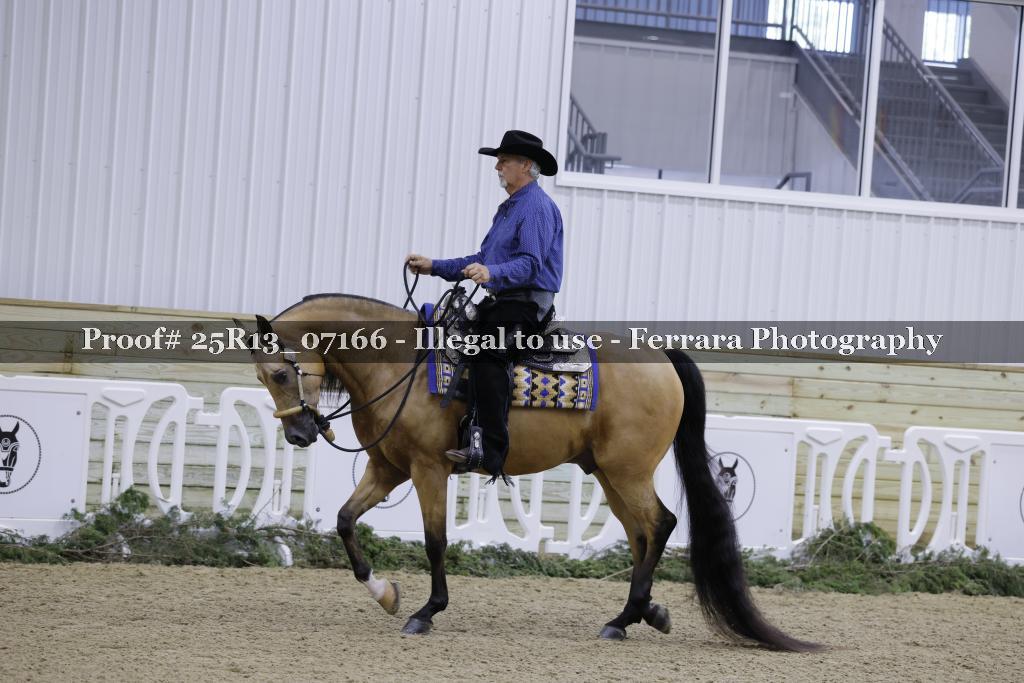 Proof Number 25R13_07166