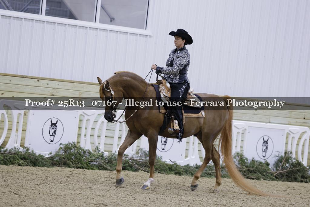 Proof Number 25R13_07167