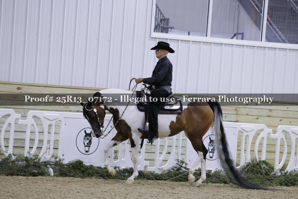 Proof Number 25R13_07172