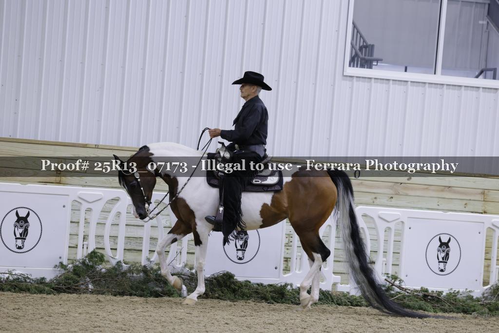 Proof Number 25R13_07173