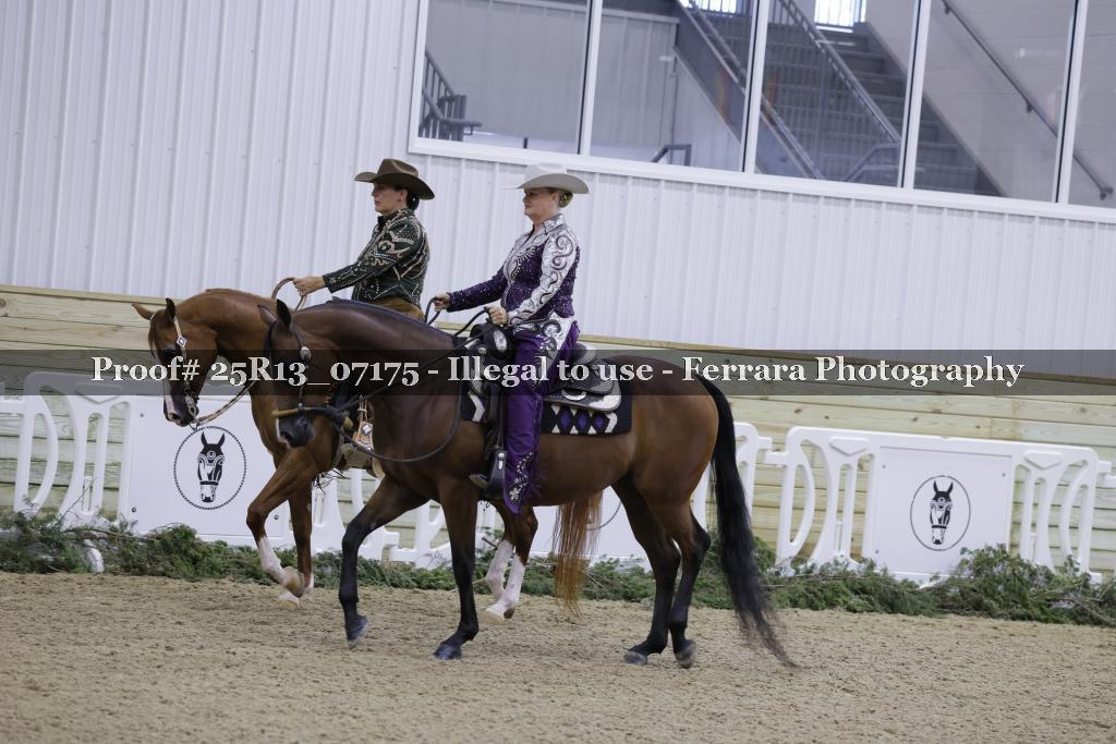 Proof Number 25R13_07175