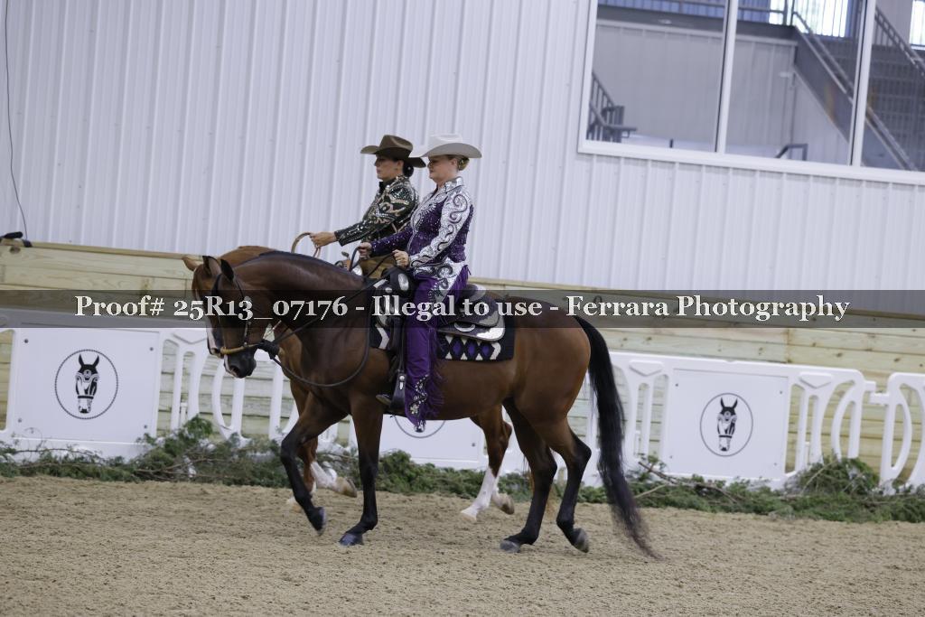 Proof Number 25R13_07176