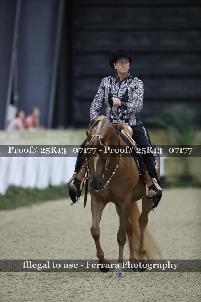 Proof Number 25R13_07177