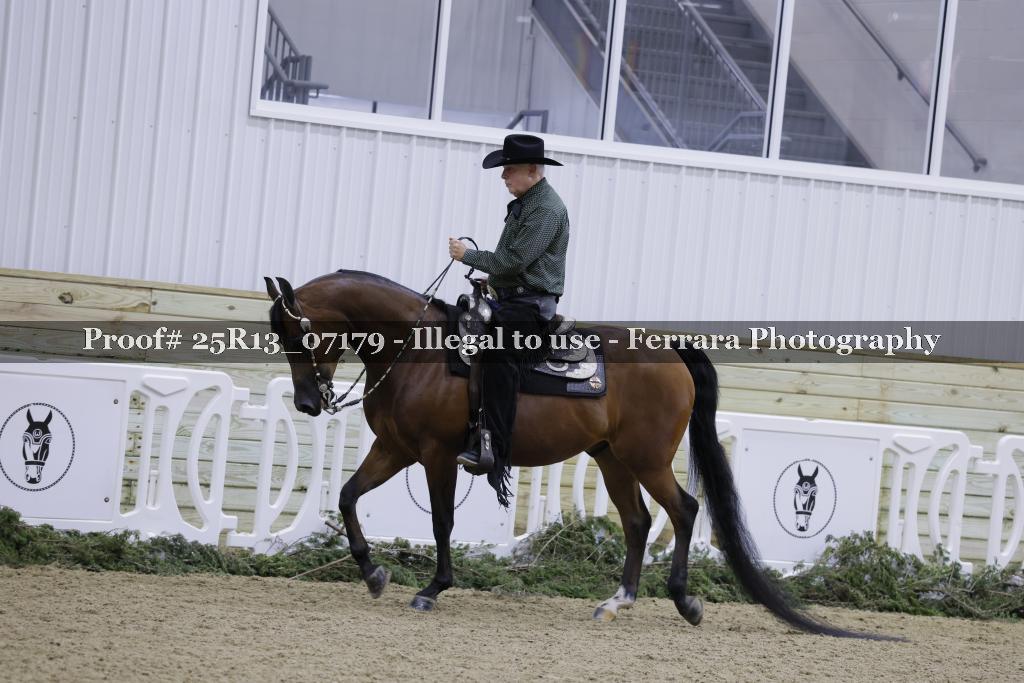 Proof Number 25R13_07179