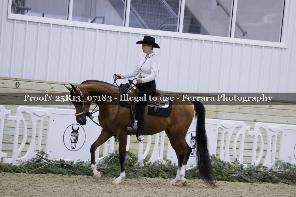 Proof Number 25R13_07183
