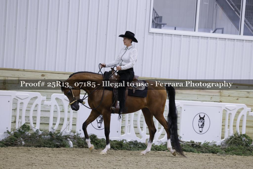 Proof Number 25R13_07185