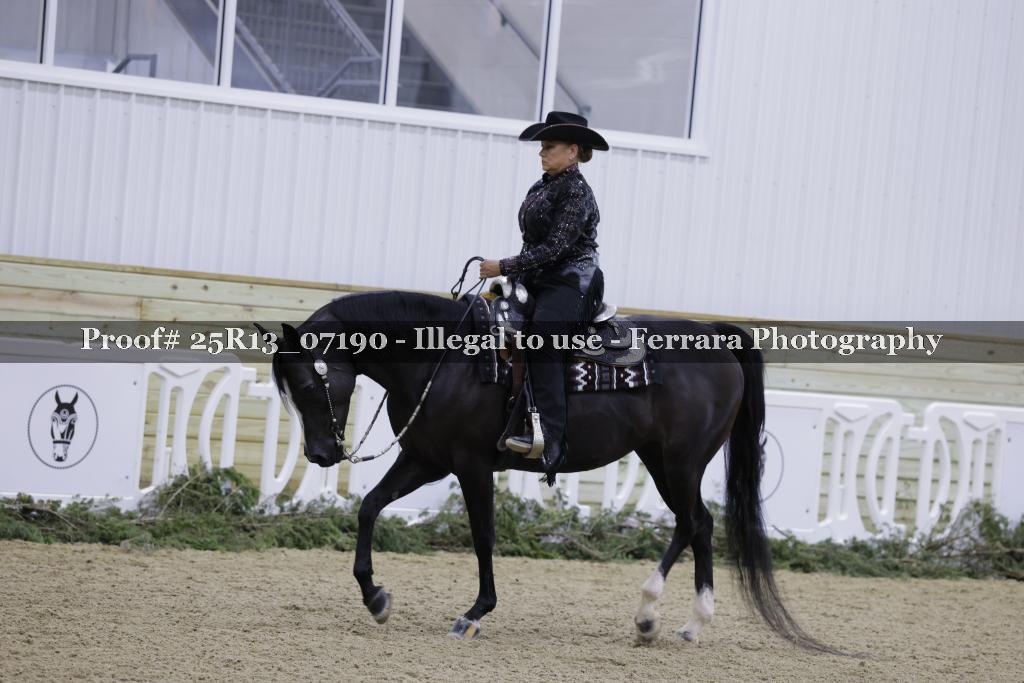 Proof Number 25R13_07190