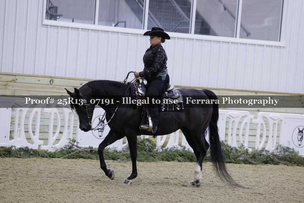 Proof Number 25R13_07191