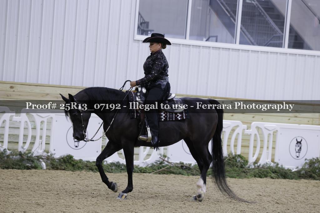 Proof Number 25R13_07192