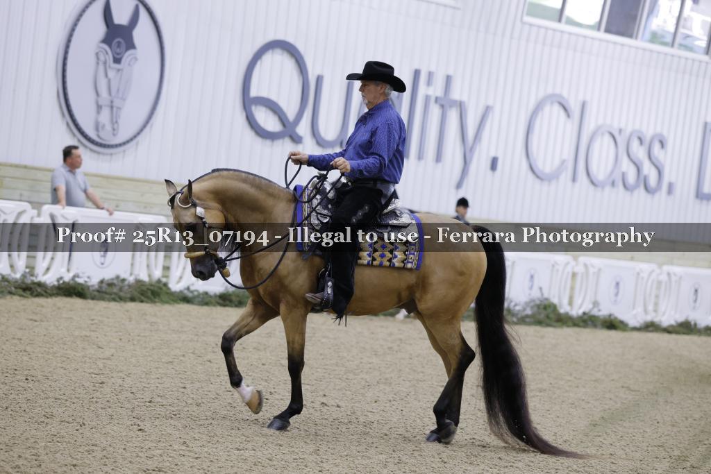Proof Number 25R13_07194