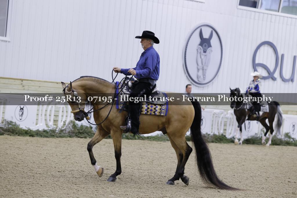 Proof Number 25R13_07195