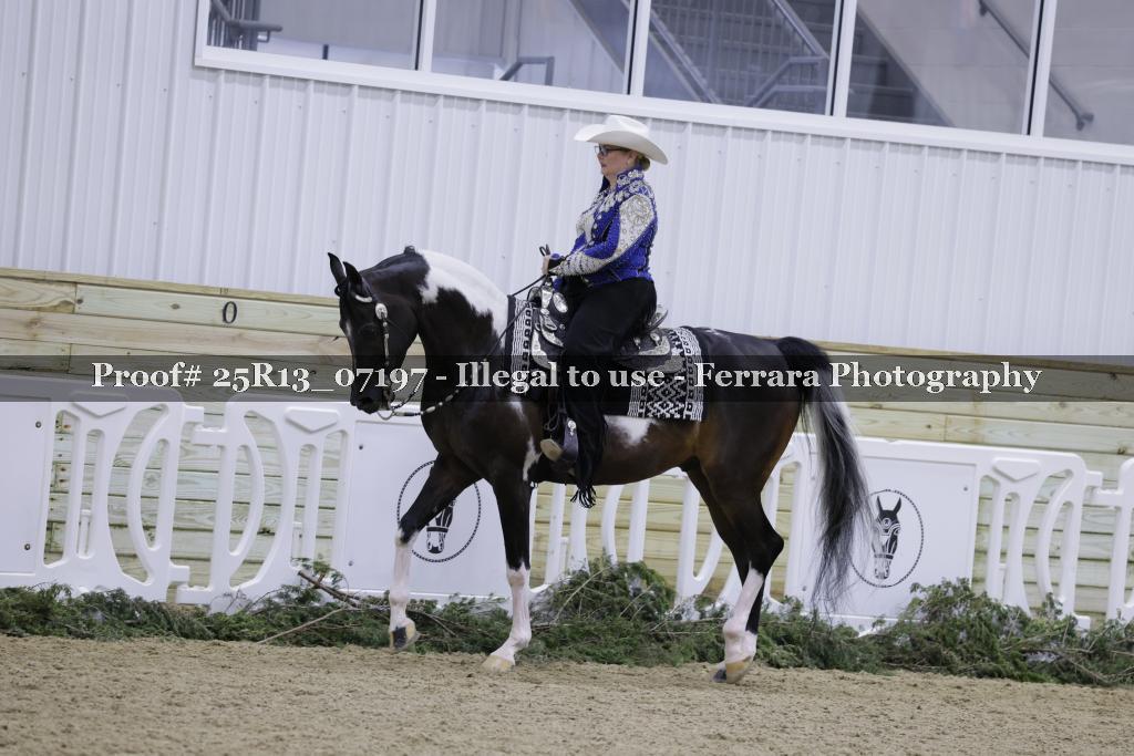 Proof Number 25R13_07197