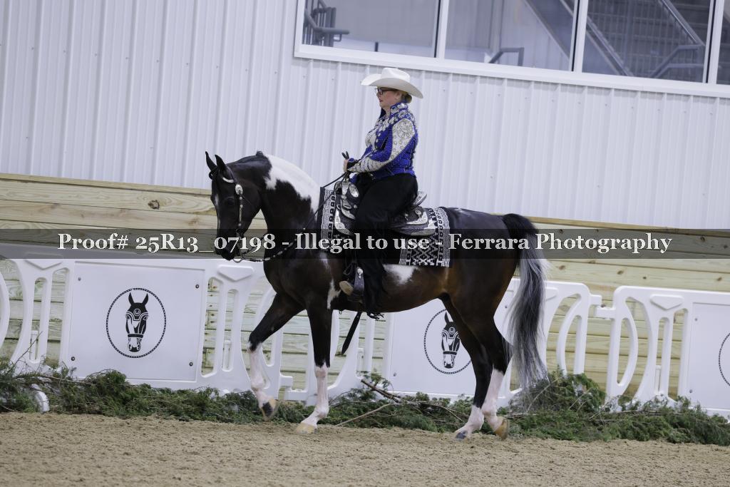 Proof Number 25R13_07198