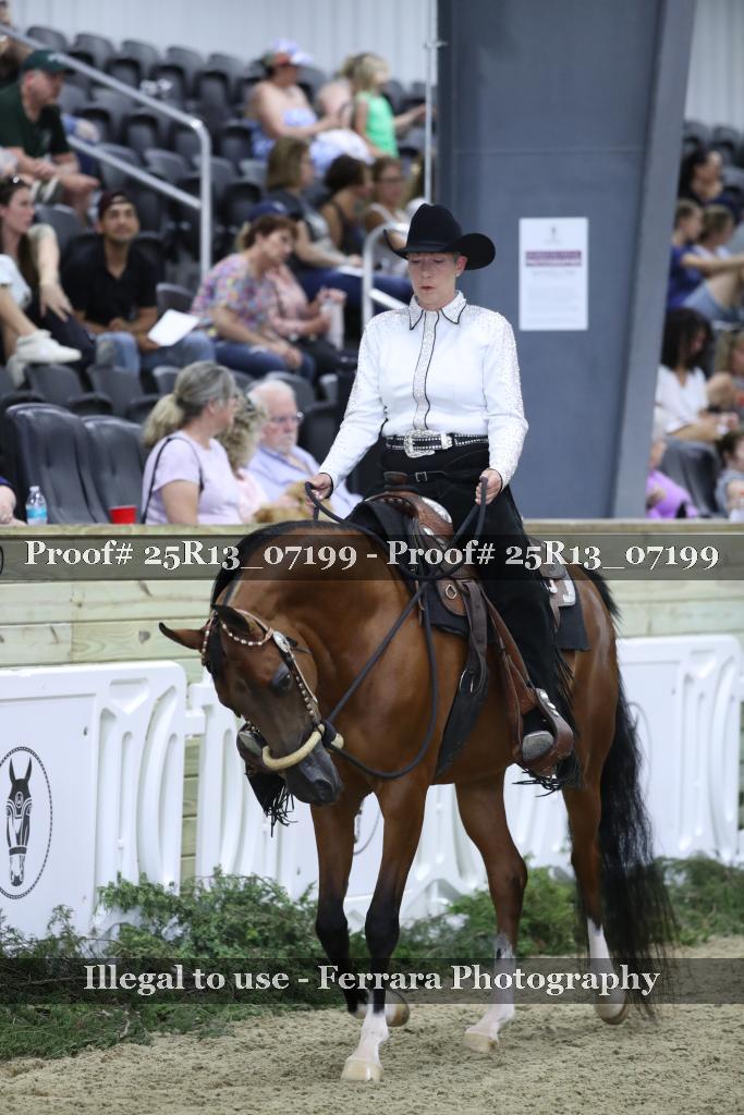 Proof Number 25R13_07199
