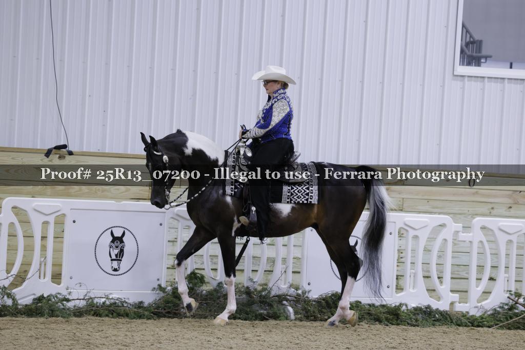 Proof Number 25R13_07200