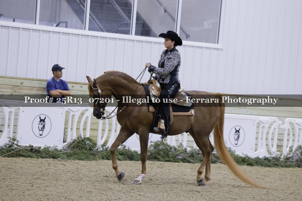 Proof Number 25R13_07201