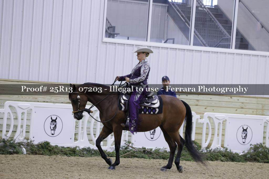 Proof Number 25R13_07203