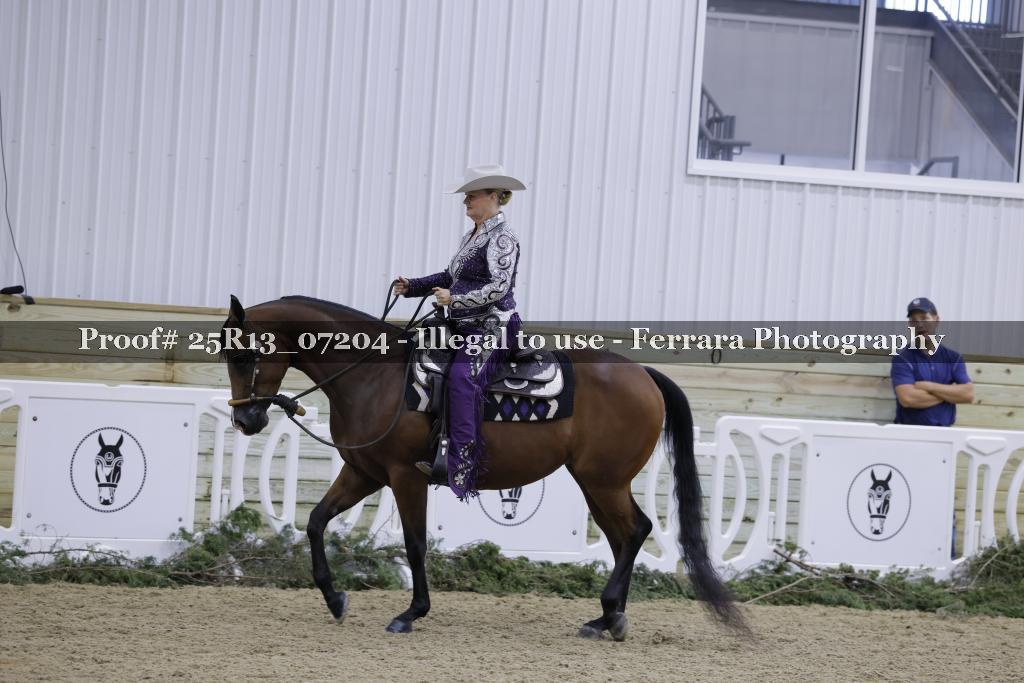 Proof Number 25R13_07204
