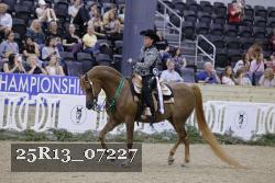 25R13_07227 thumbnail