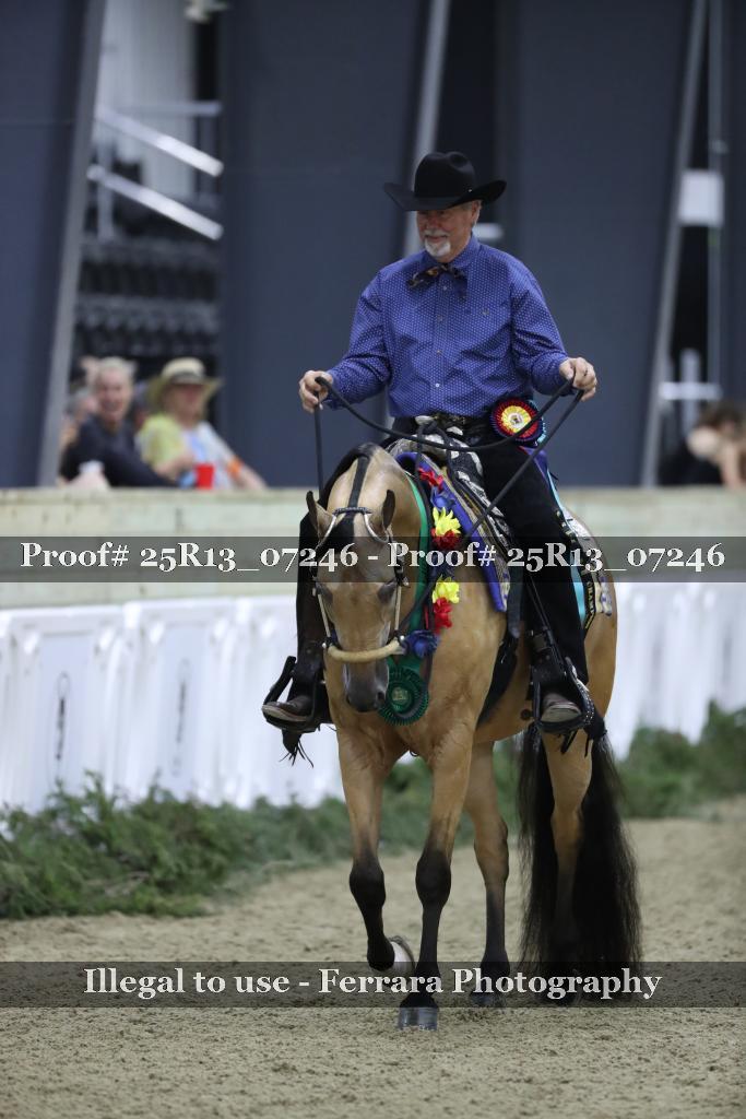 Proof Number 25R13_07246