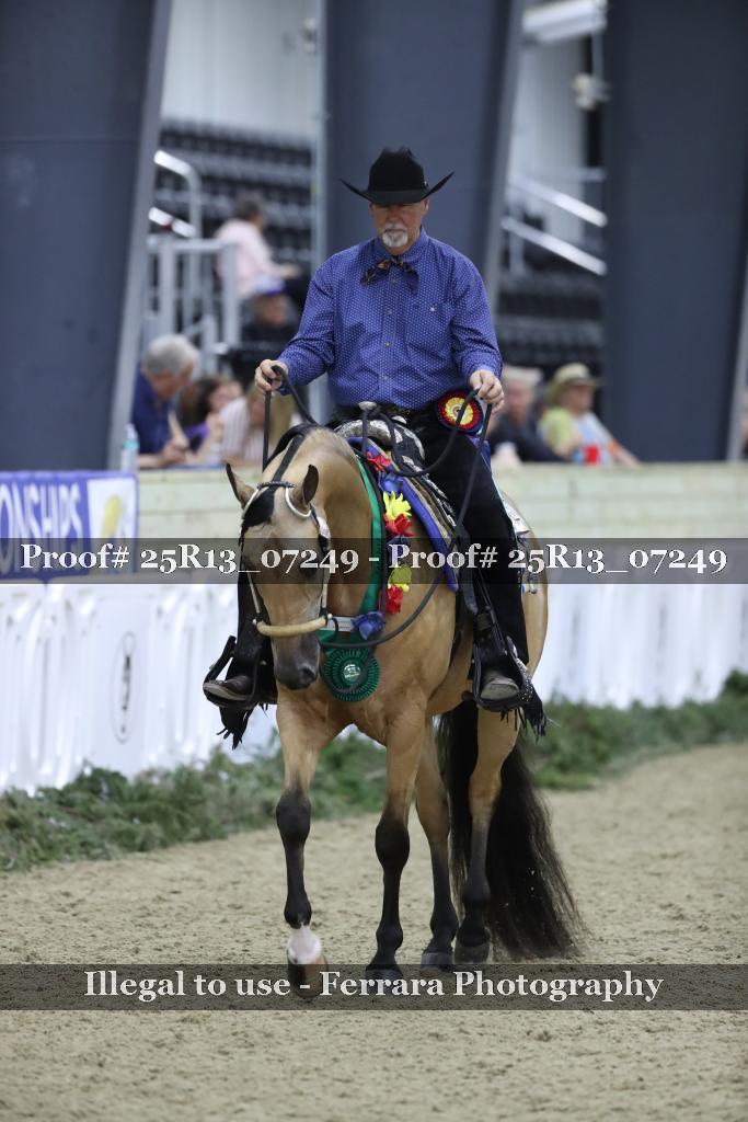 Proof Number 25R13_07249