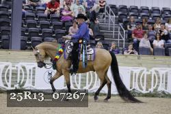 25R13_07267 thumbnail