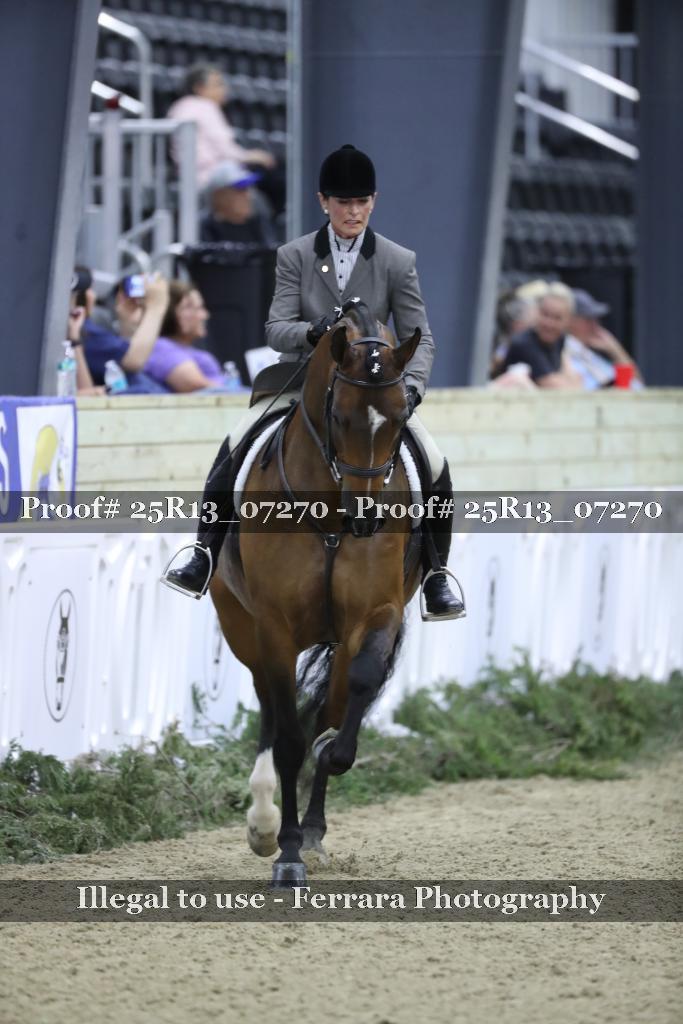 Proof Number 25R13_07270