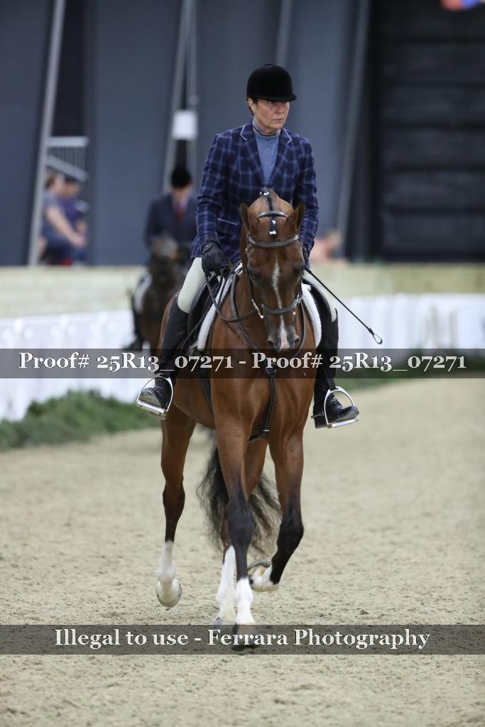 Proof Number 25R13_07271