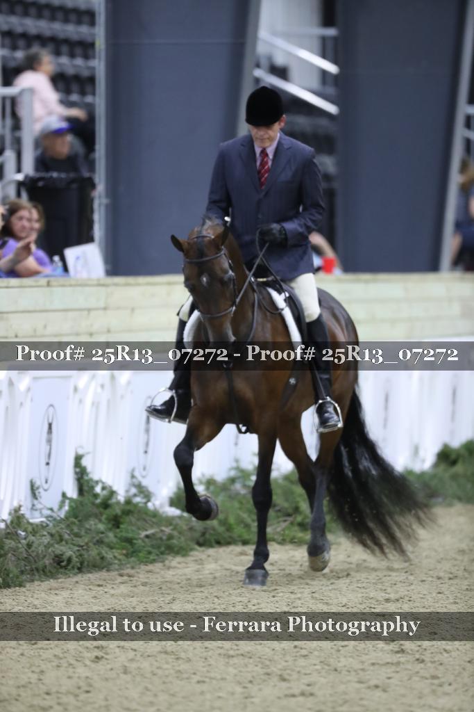 Proof Number 25R13_07272