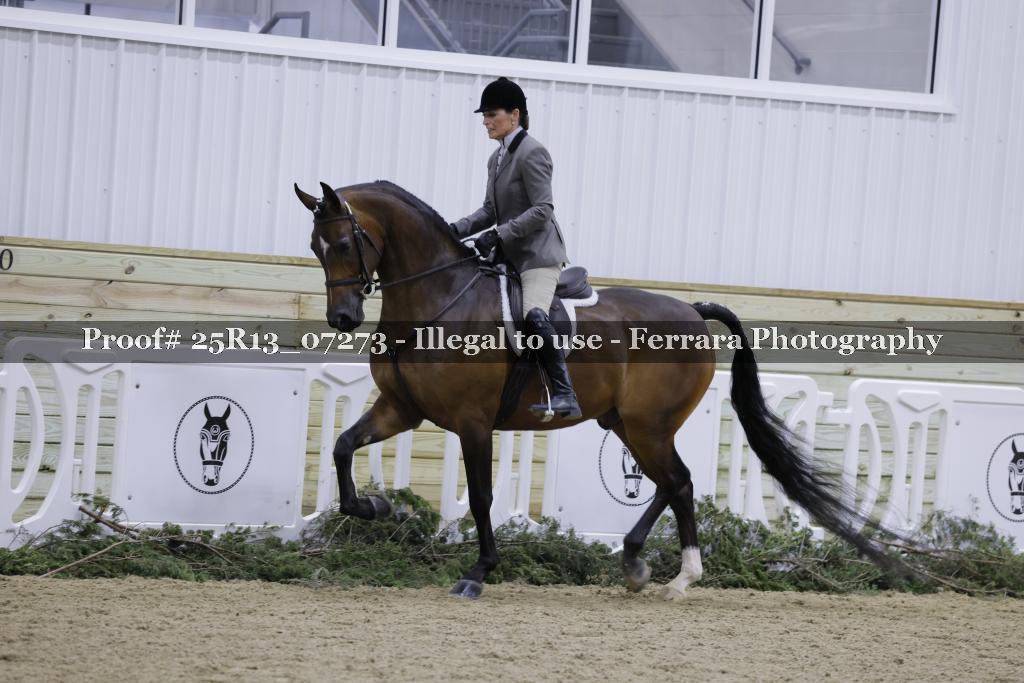 Proof Number 25R13_07273