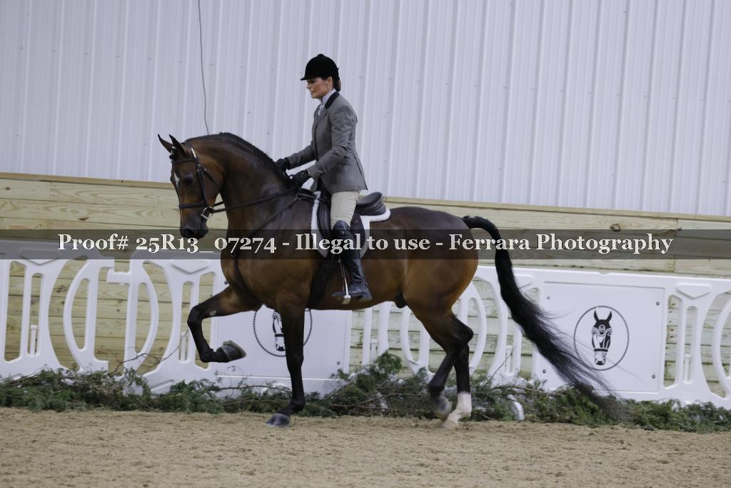 Proof Number 25R13_07274