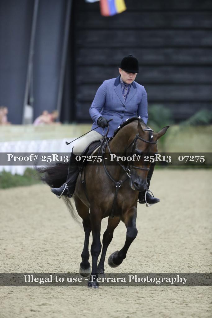 Proof Number 25R13_07275