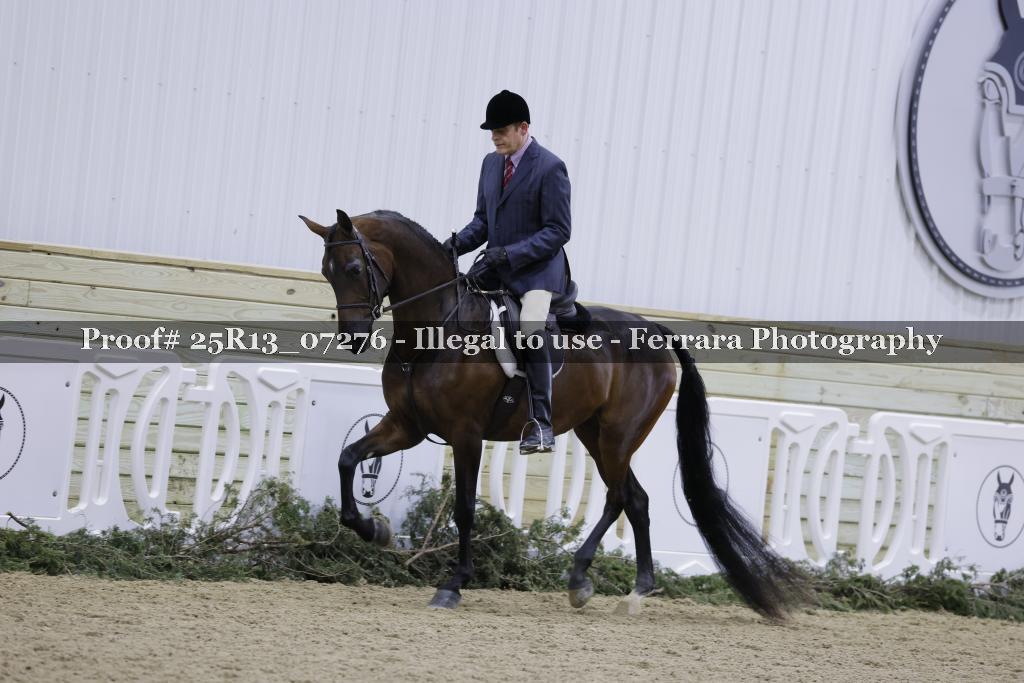 Proof Number 25R13_07276