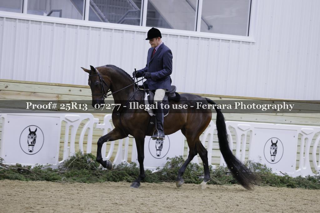 Proof Number 25R13_07277