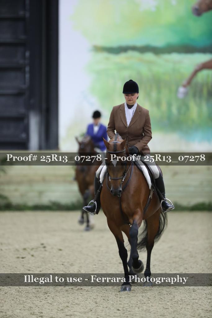 Proof Number 25R13_07278