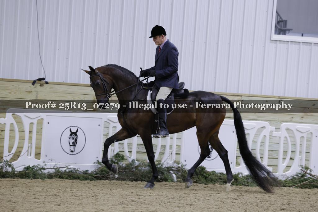 Proof Number 25R13_07279