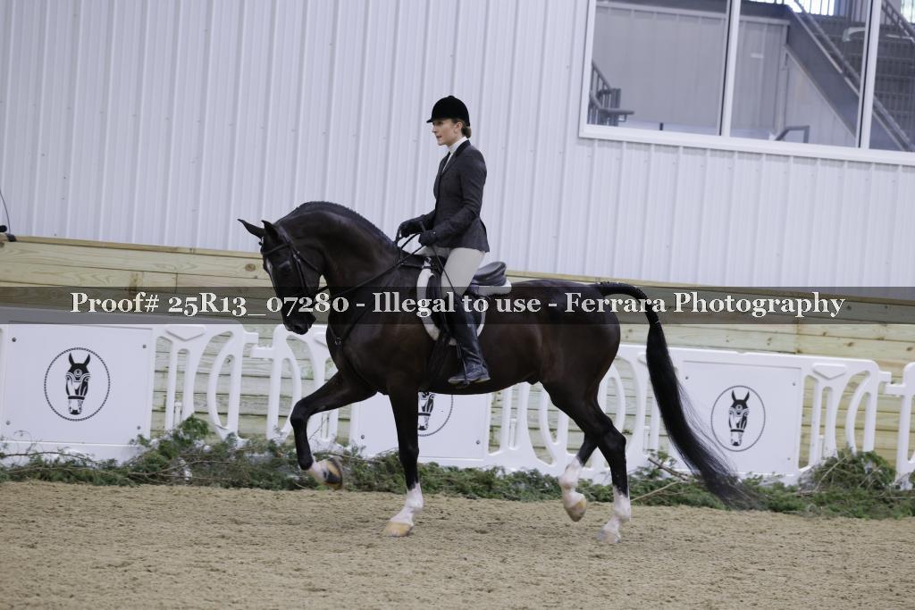 Proof Number 25R13_07280