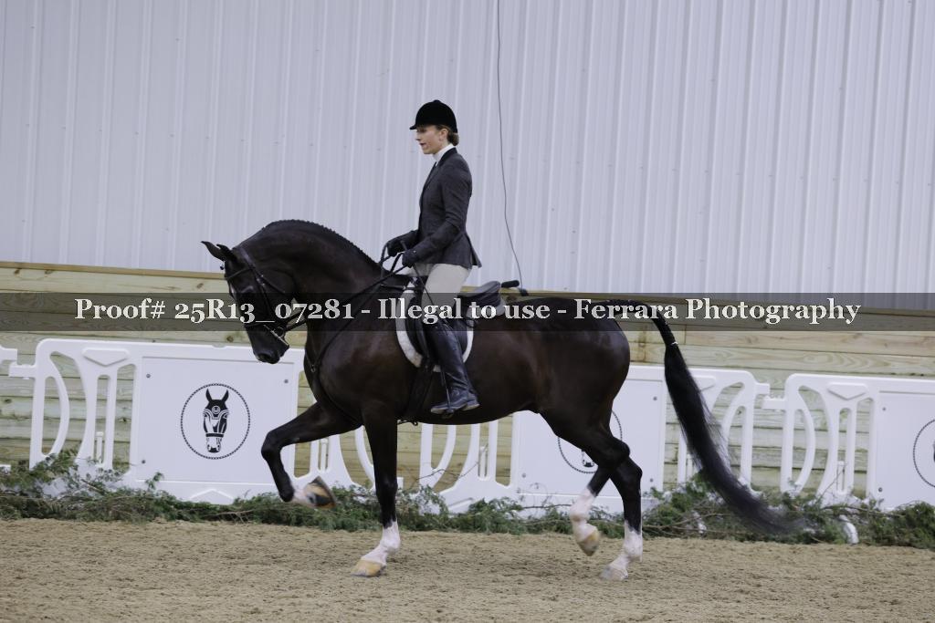 Proof Number 25R13_07281