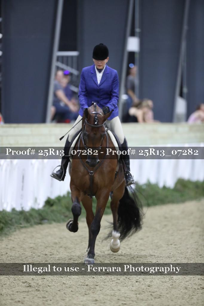 Proof Number 25R13_07282