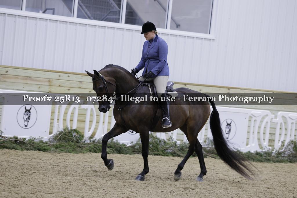 Proof Number 25R13_07284